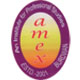 amex college logo