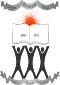 ghoom jorebunglow degree college logo