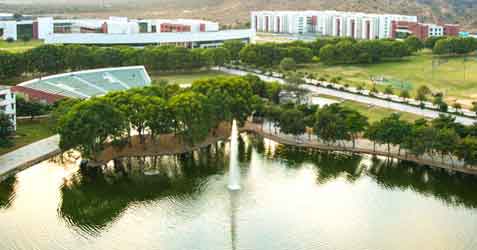 Ph.D. in Nanotechnology from Amity University Rajasthan: Eligibility, Entrance Exam, Fee Structure, Admission Process, Subjects, Research Areas, Syllabus, Scholarship & Career Scope