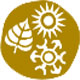 chanakya university
