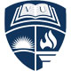 vikrant university